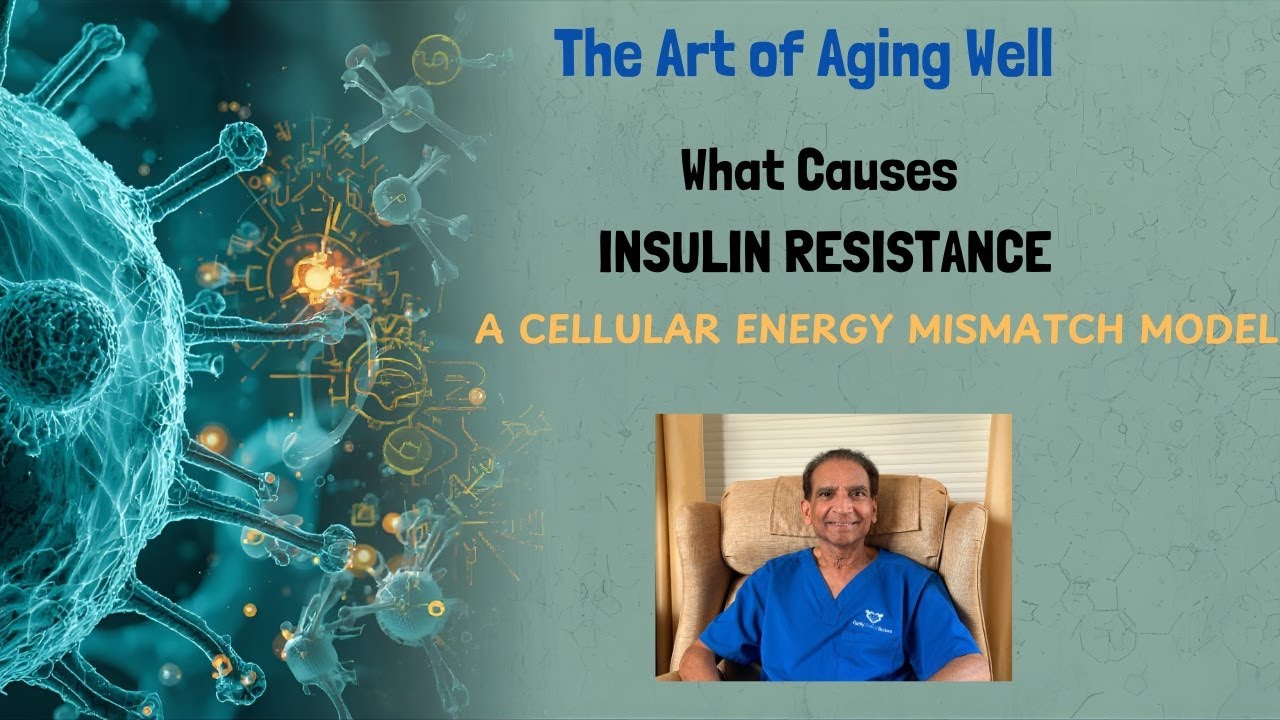 What Causes Metabolic Dysfunction/Insulin Resistance?