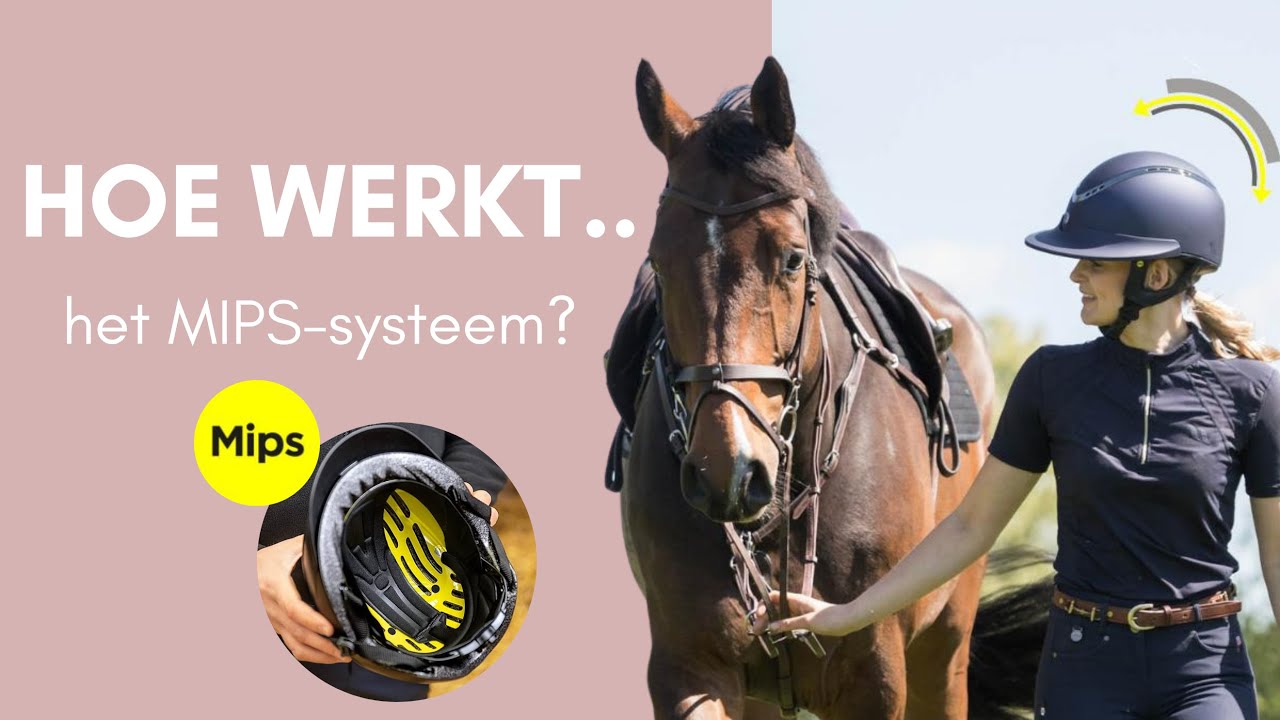 Hoe werkt het MIPS-systeem? 🟡 | Hoe werkt