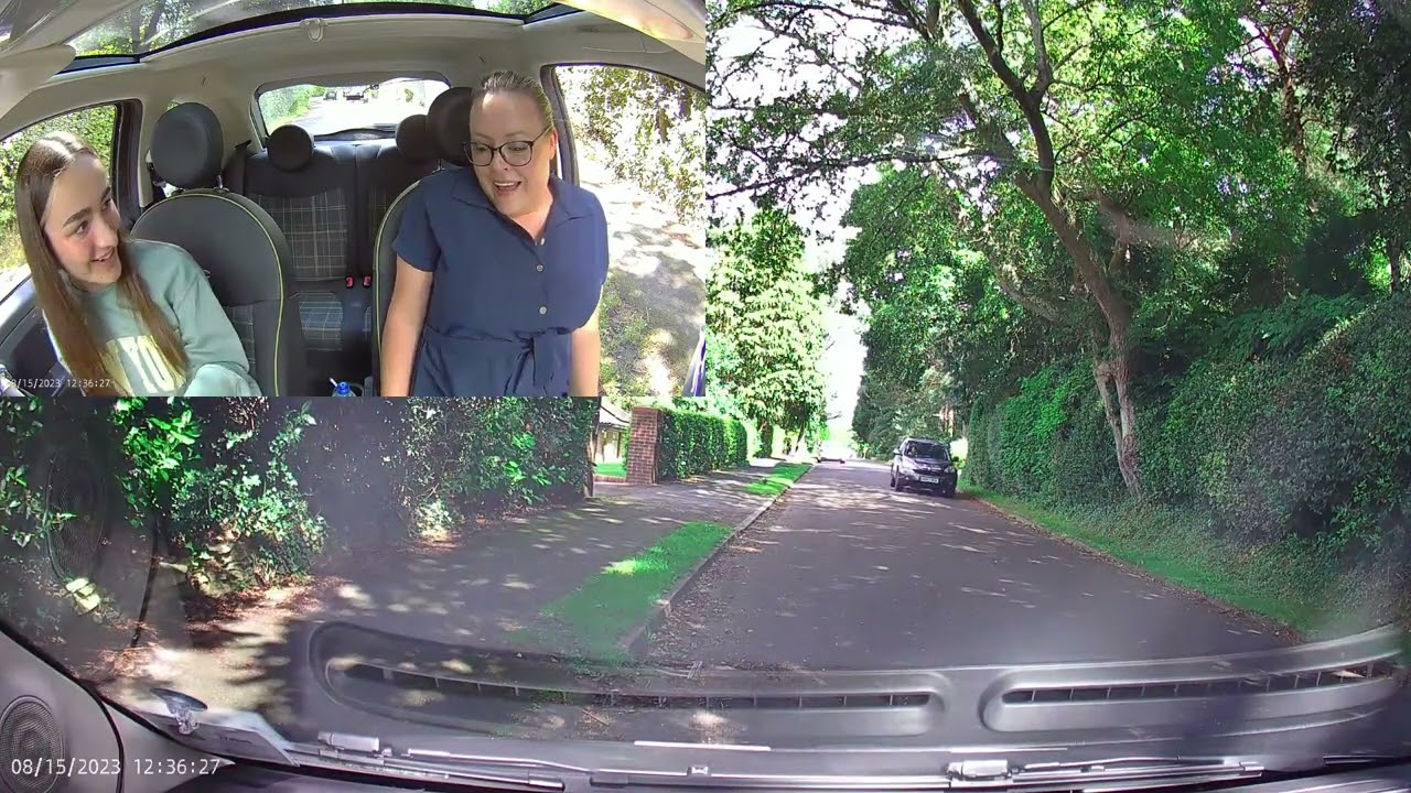I have a genuine fear of wasps #drivinglessons #wasp