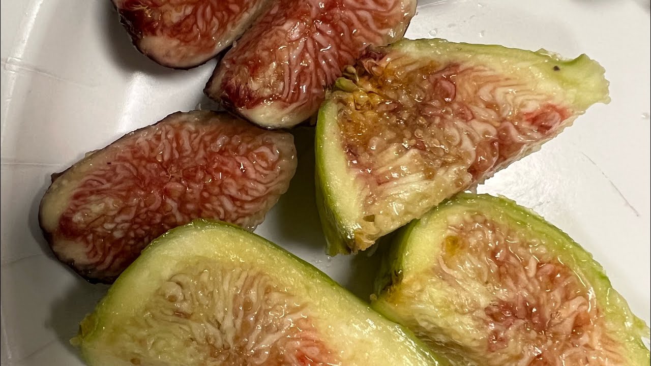 Fig Ripening Report:  Atreano, RdB (August 2023)