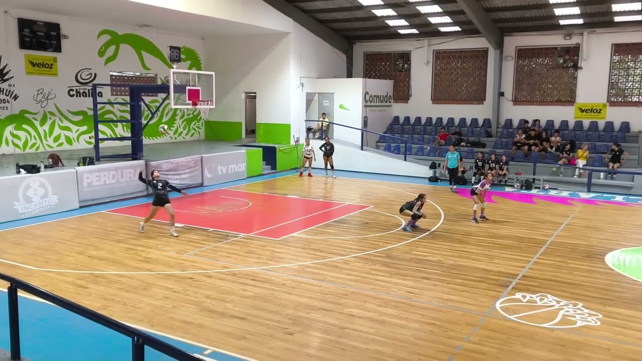 Tapatias PV 3ra vs Scorpions 3ra Torneo Auditorio PV 2026 1/2