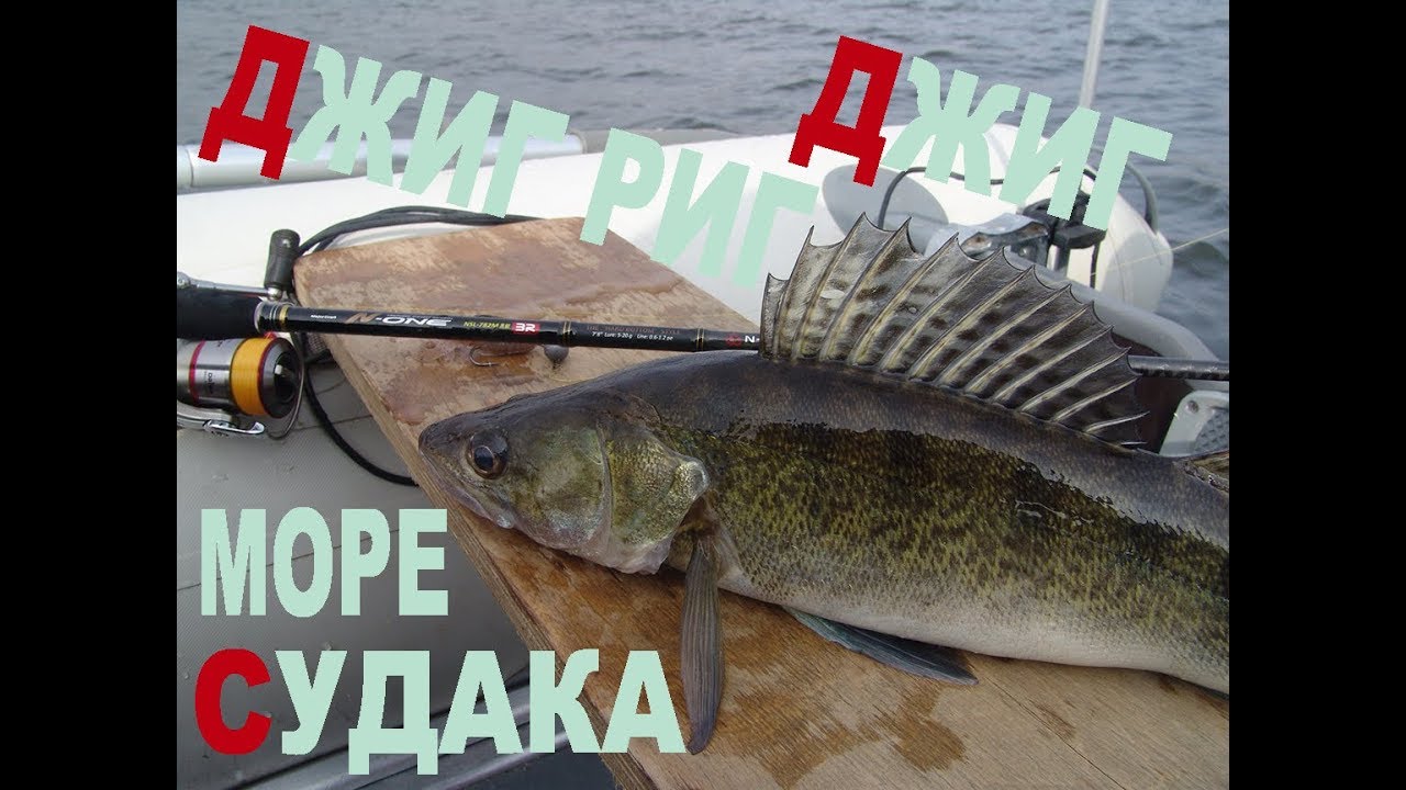 Джиг риг и джиг. Поймал море судака! Классная рыбалка
