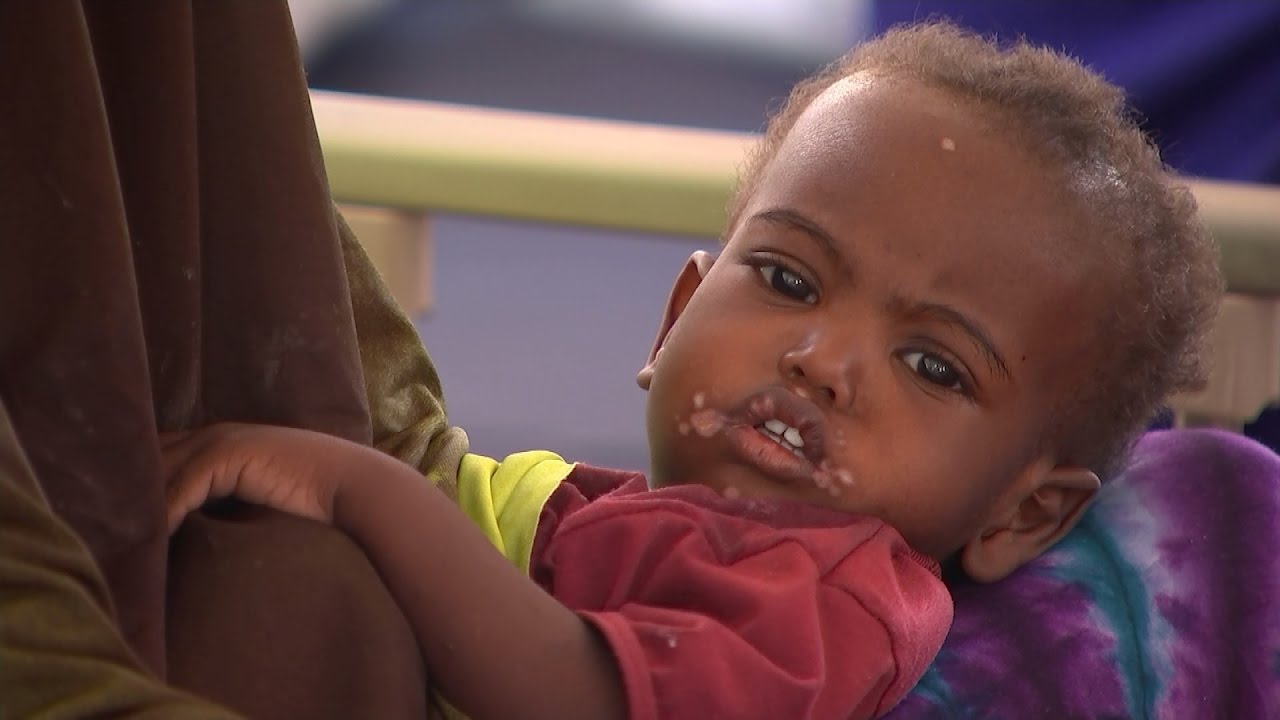 Somaliland drought: 'Without help now, we'll all be finished'