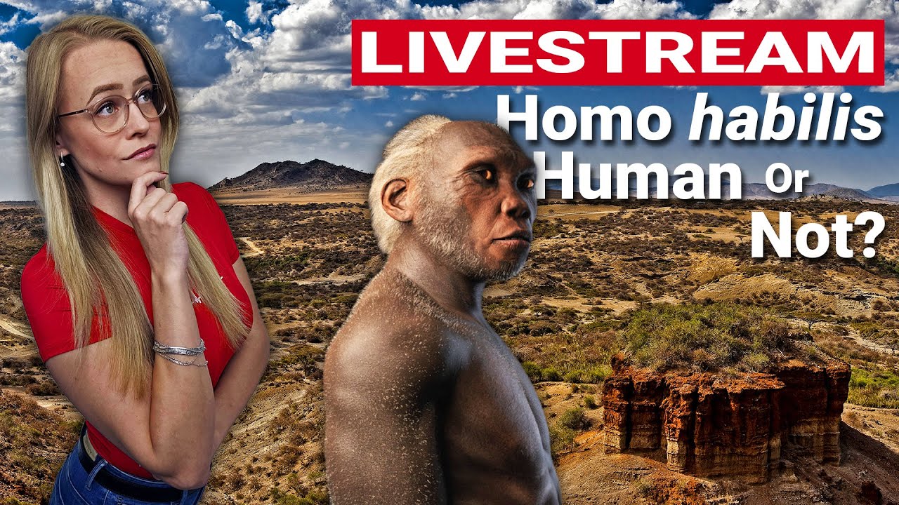 Let's Talk; Most Complete Homo Habilis Skeleton Found, Human Or Not?