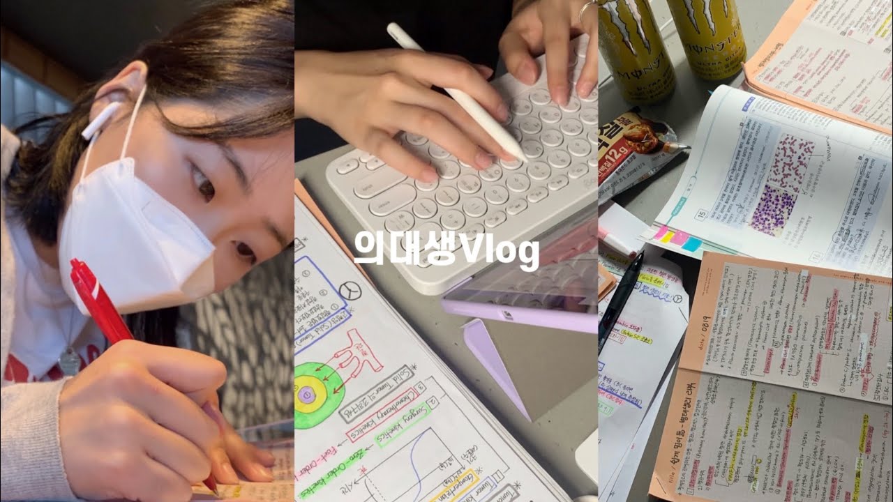 (Eng) 의대생vlog | 본과 2학년🩸혈액종양내과 시험 전 72시간⏰ 밤샘, 공부자극. *이벤트 있음!