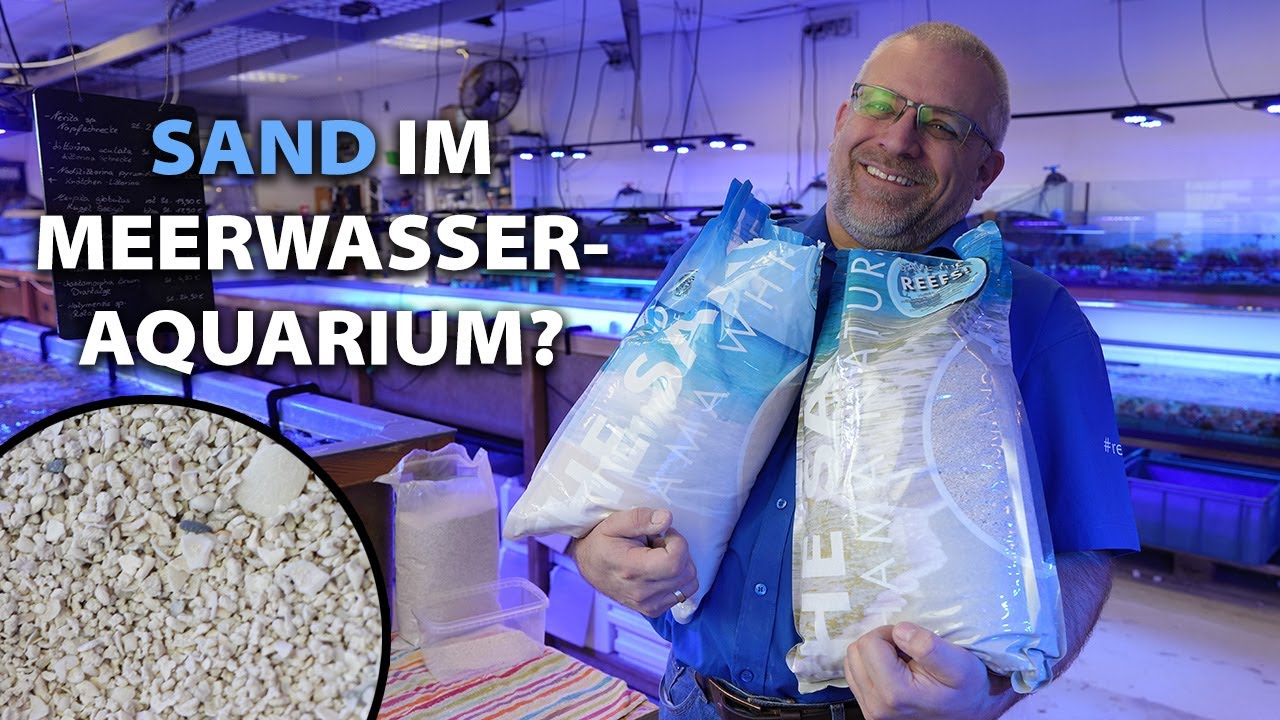 Sand im Meerwasseraquarium? - Das ist THE SAND