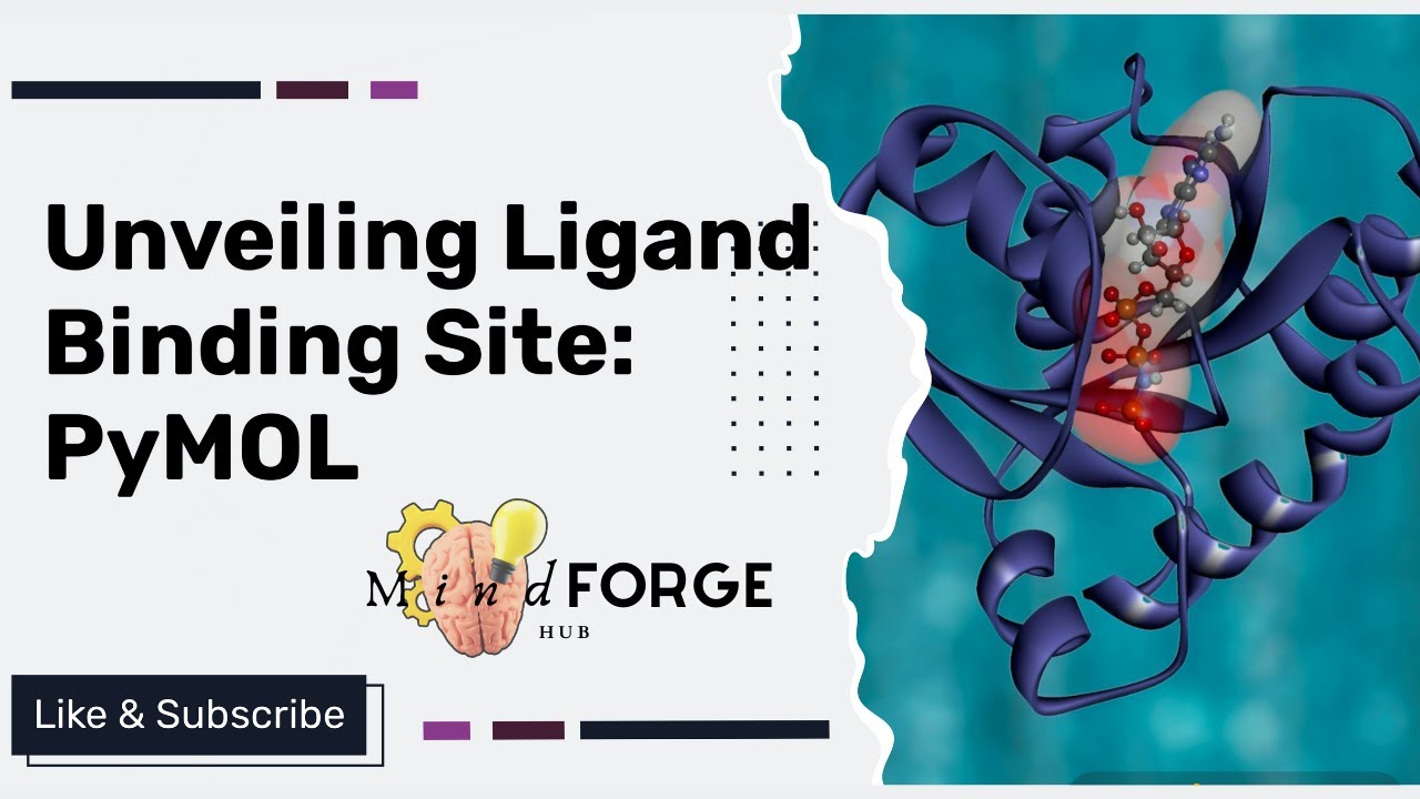 Unveiling Protein Secrets: Navigating Protein Structures and Identifying Binding Sites with PyMOL