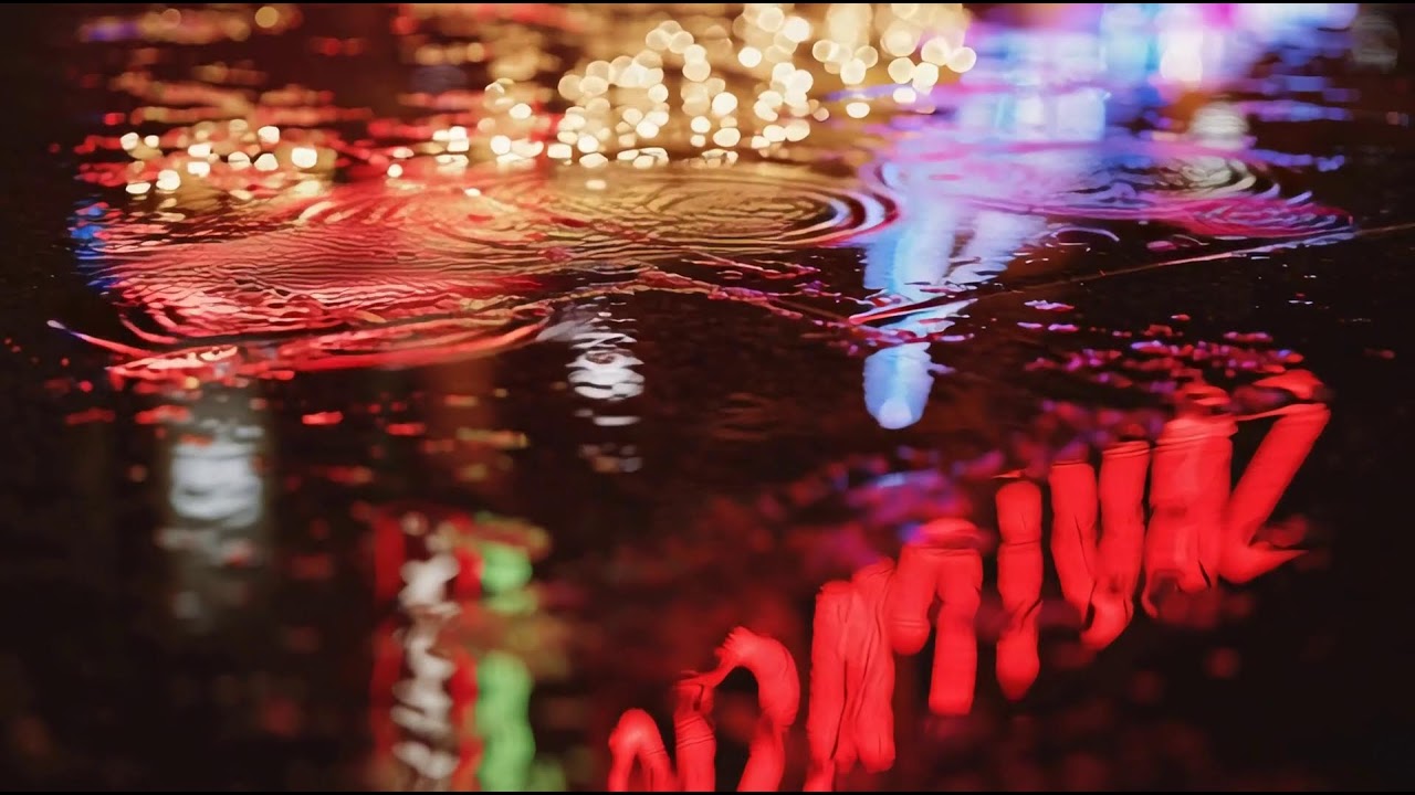 Indie Rock/Alternative Compilation 🎸 That Inspired by Vampire Weekend Vol 2548