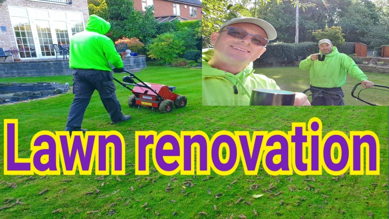 Our first Lawn Renovation