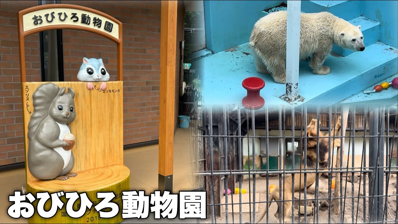 動物との距離感が近すぎる！動物好きにはたまらない『おびひろ動物園』