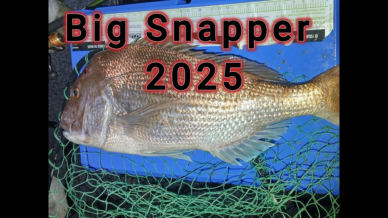 First big snapper mission for 2025
