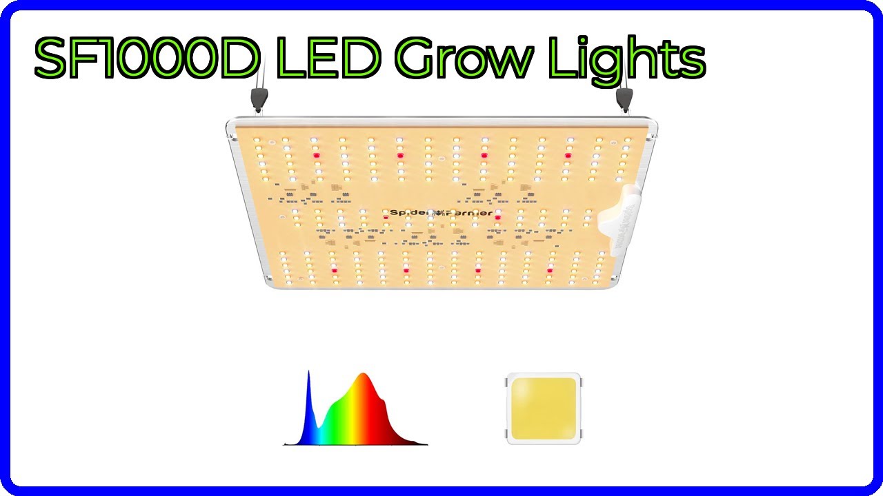 REVIEW (2026): SF1000D LED Grow Lights. ESSENTIAL details.