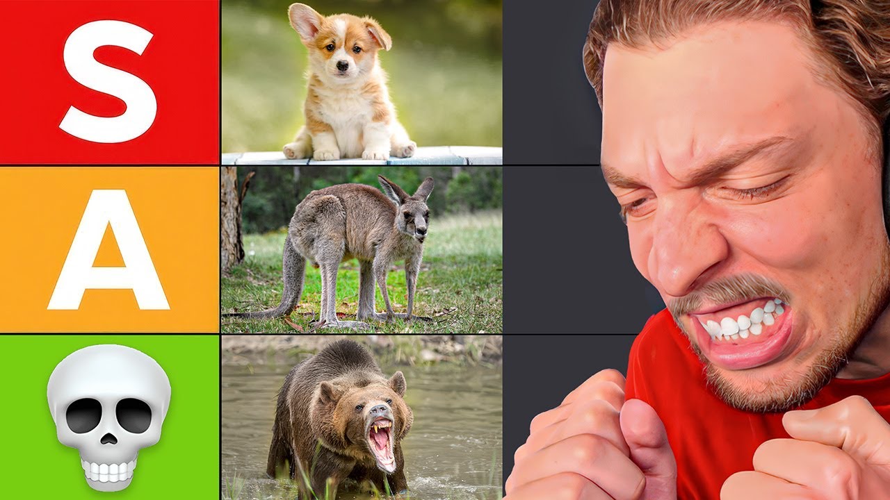 Which Animals We Can Beat In A Fight?