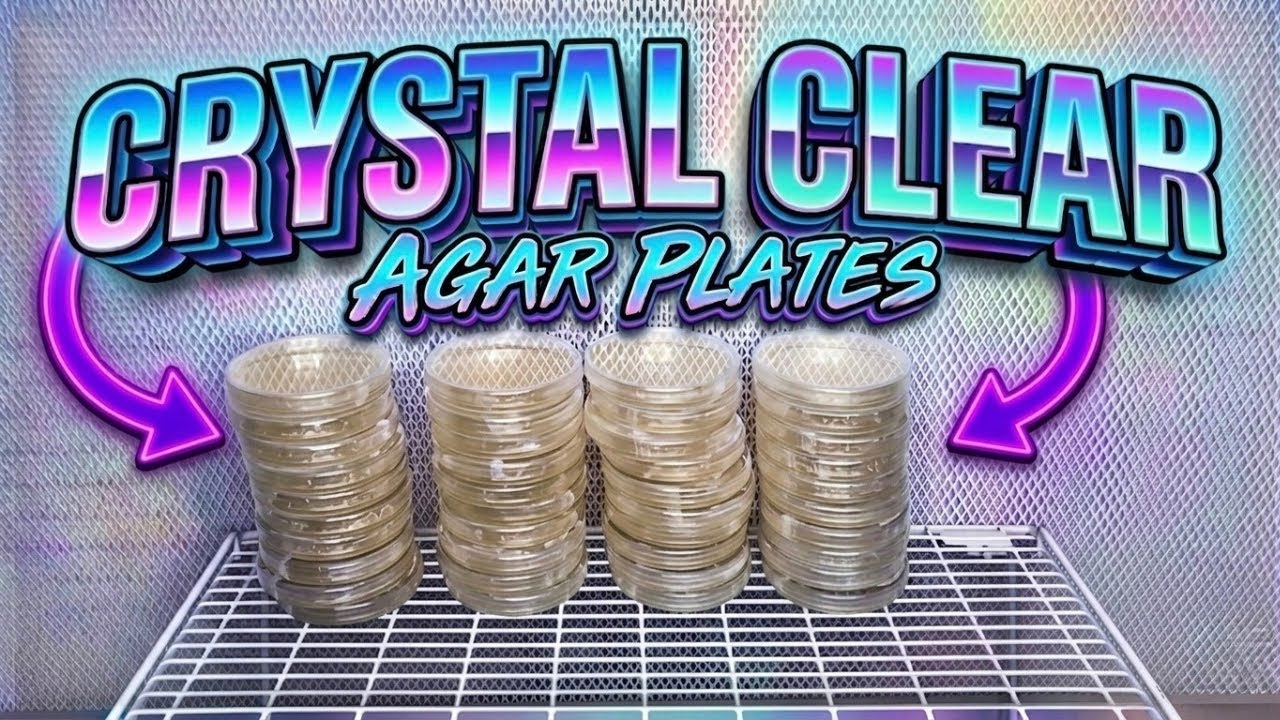 My Favorite Recipe for Making Agar Plates Full Tutorial