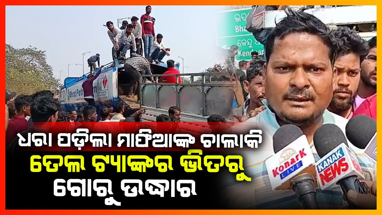ଧରା ପଡ଼ିଲା ମାଫିଆଙ୍କ ଚାଲାକି ତେଲ ଟ୍ୟାଙ୍କର ଭିତରୁ ଗୋରୁ ଉଦ୍ଧାର || BHADRAK NEWS