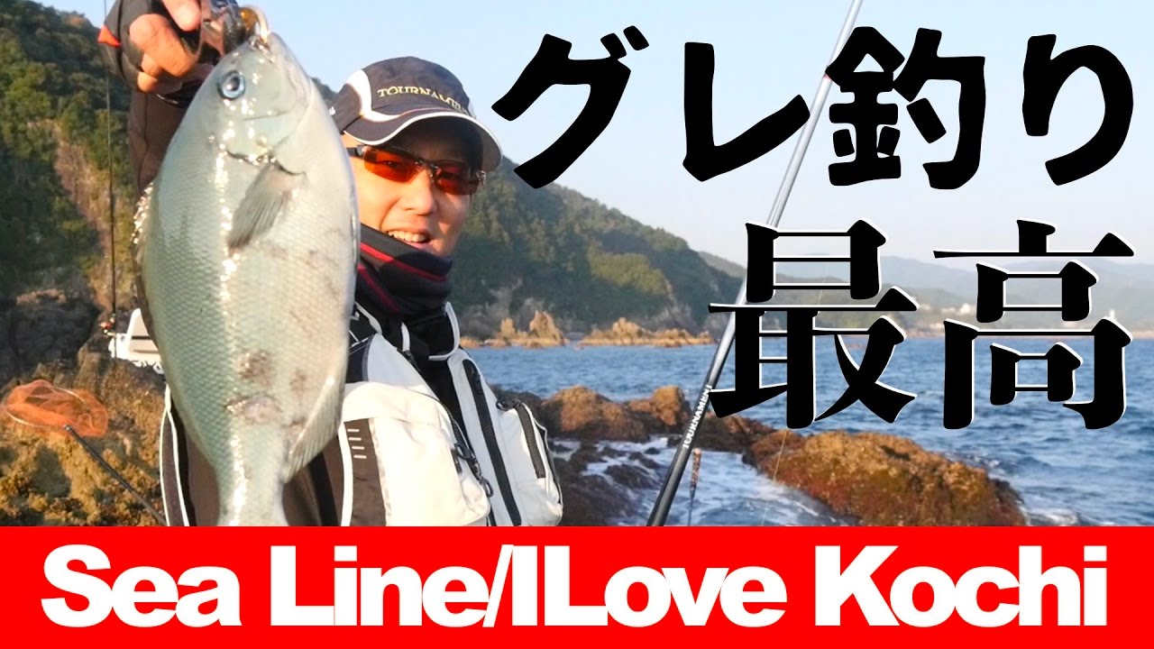 【高知県中土佐町久礼で磯釣り】そこそこ楽しめますよ〜【シーライン釣果ノート22】Girella punctata fishing