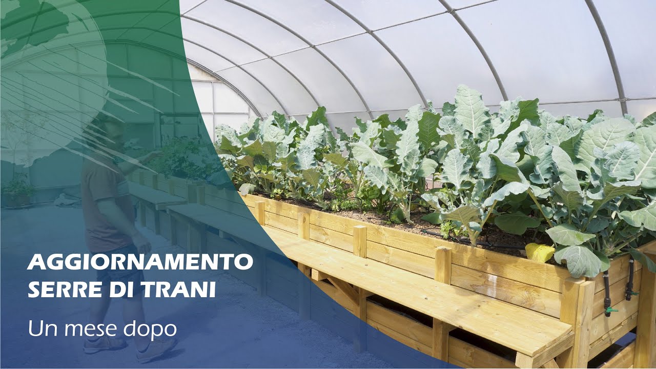 IMPIANTO DI ACQUAPONICA: aggiornamento da Trani