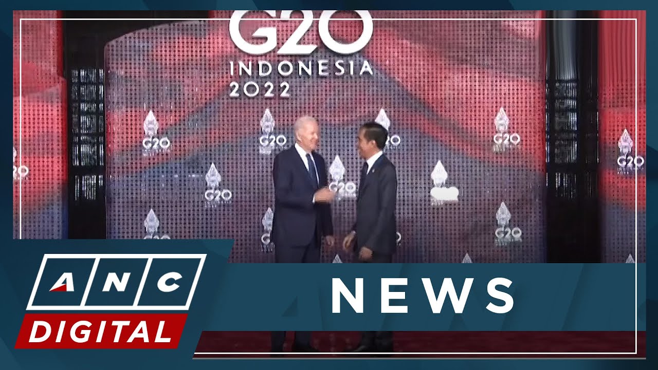 G20 summit kicks off in Bali with plea for unity; Ukraine tops agenda | ANC