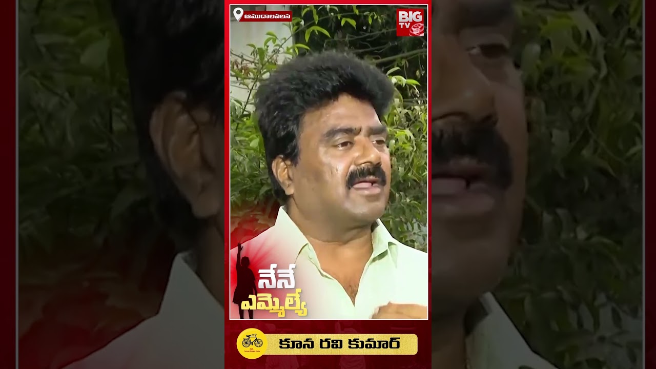 Amudalavalasa TDP MLA Candidate Kuna Ravi Kumar Exclusive Interview | Nene MLA | BIG TV