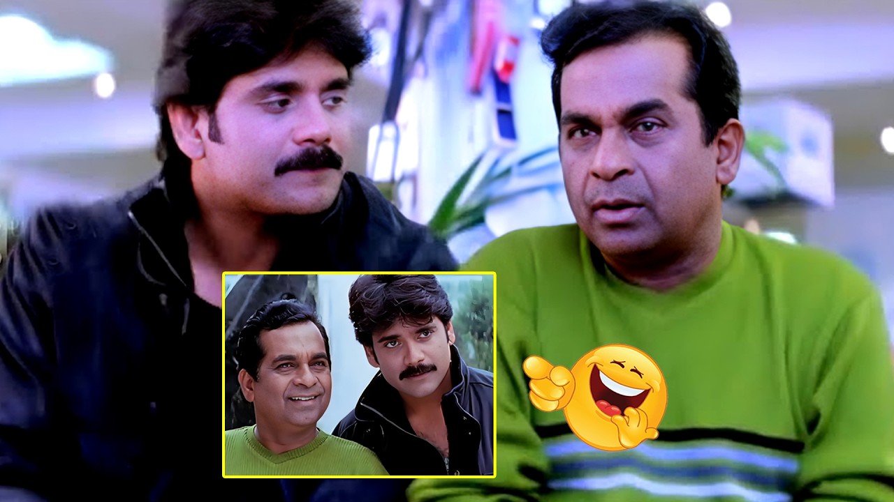 Nagarjuna And Brahmanandam Super Hit Comedy Scenes Telugu | Brahmanandam Back To Back Comedy Scenes