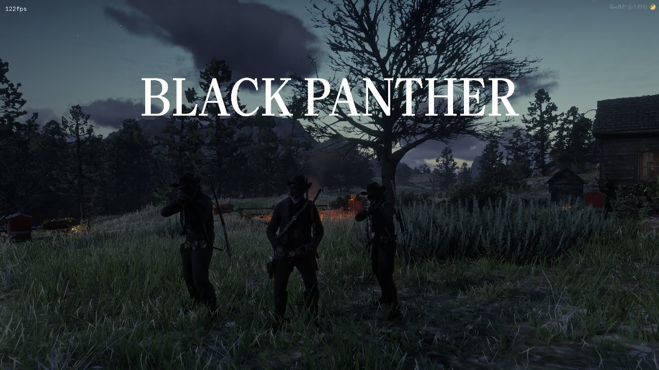 Erwachung der Black Panther | Misty Mountain | RedM