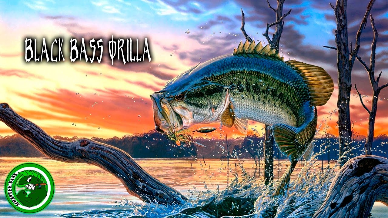 Black bass orilla [Técnicas y Señuelos]