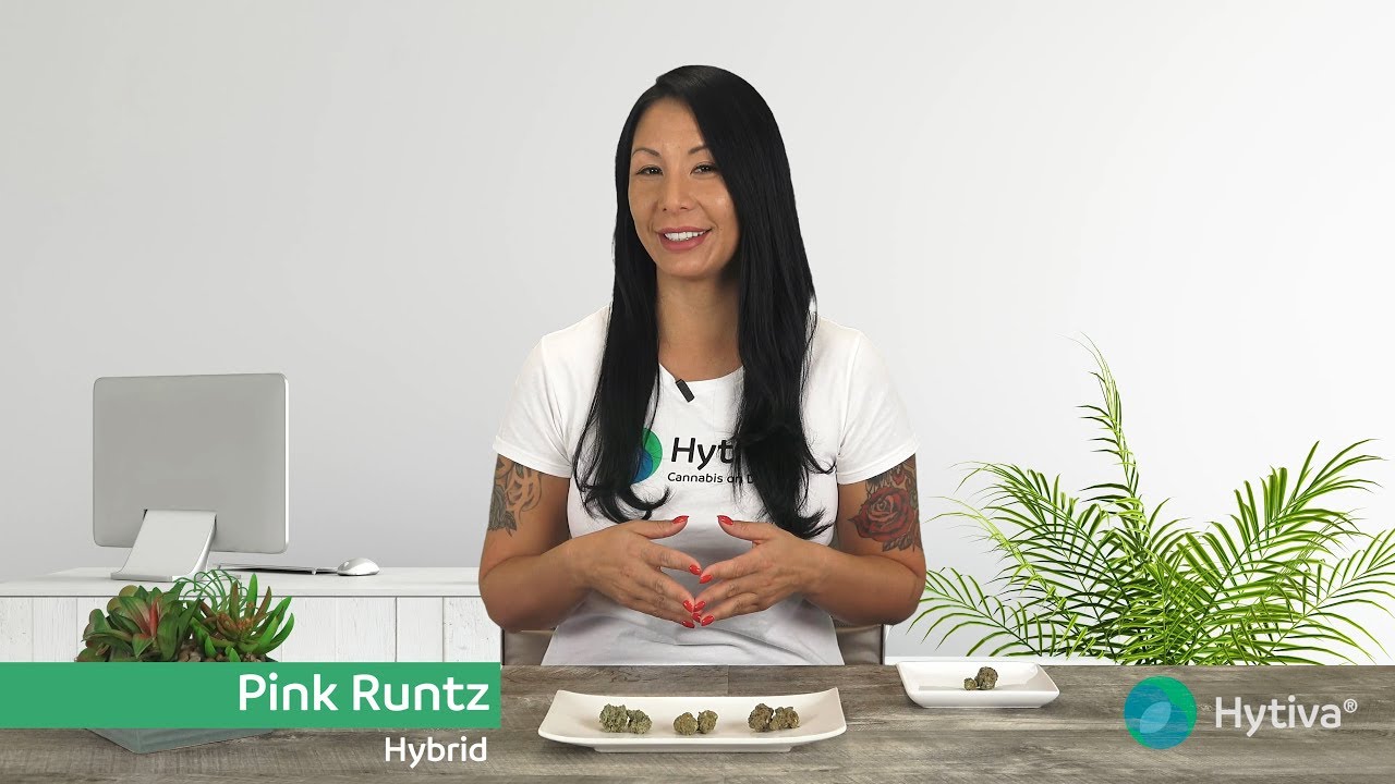Pink Runtz | Strain Review