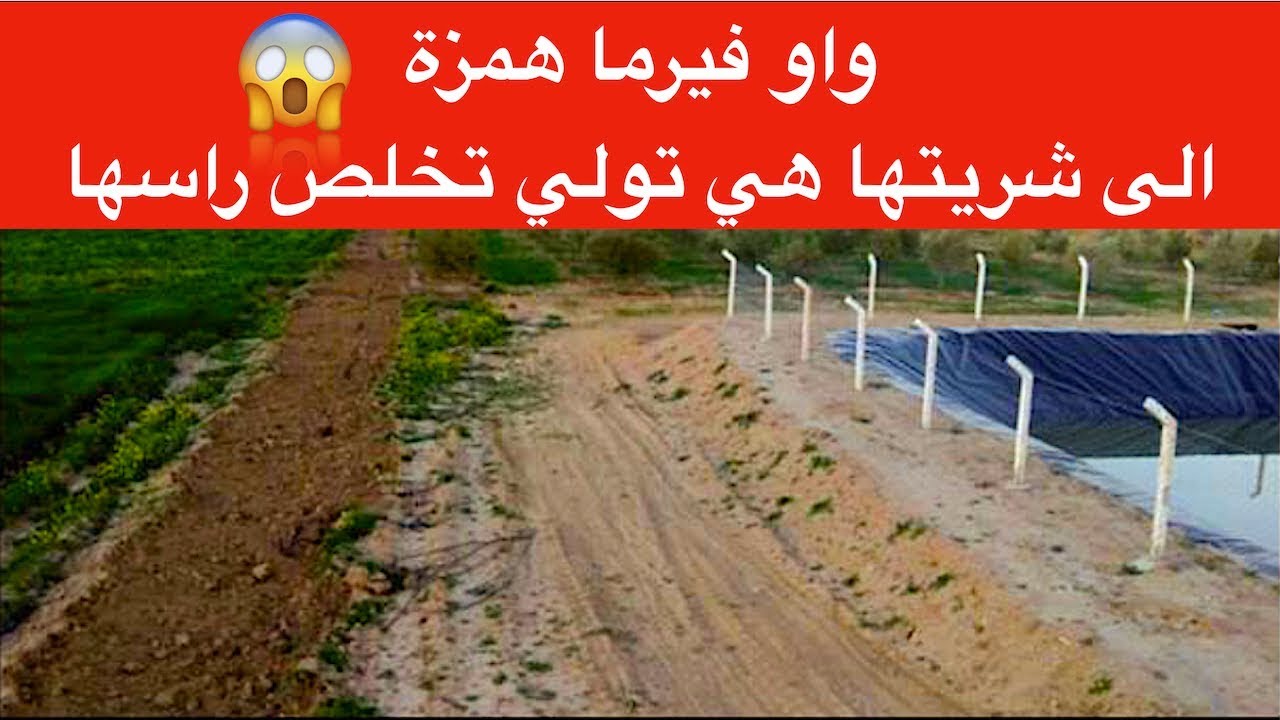 مزرعة همزة للبيع
