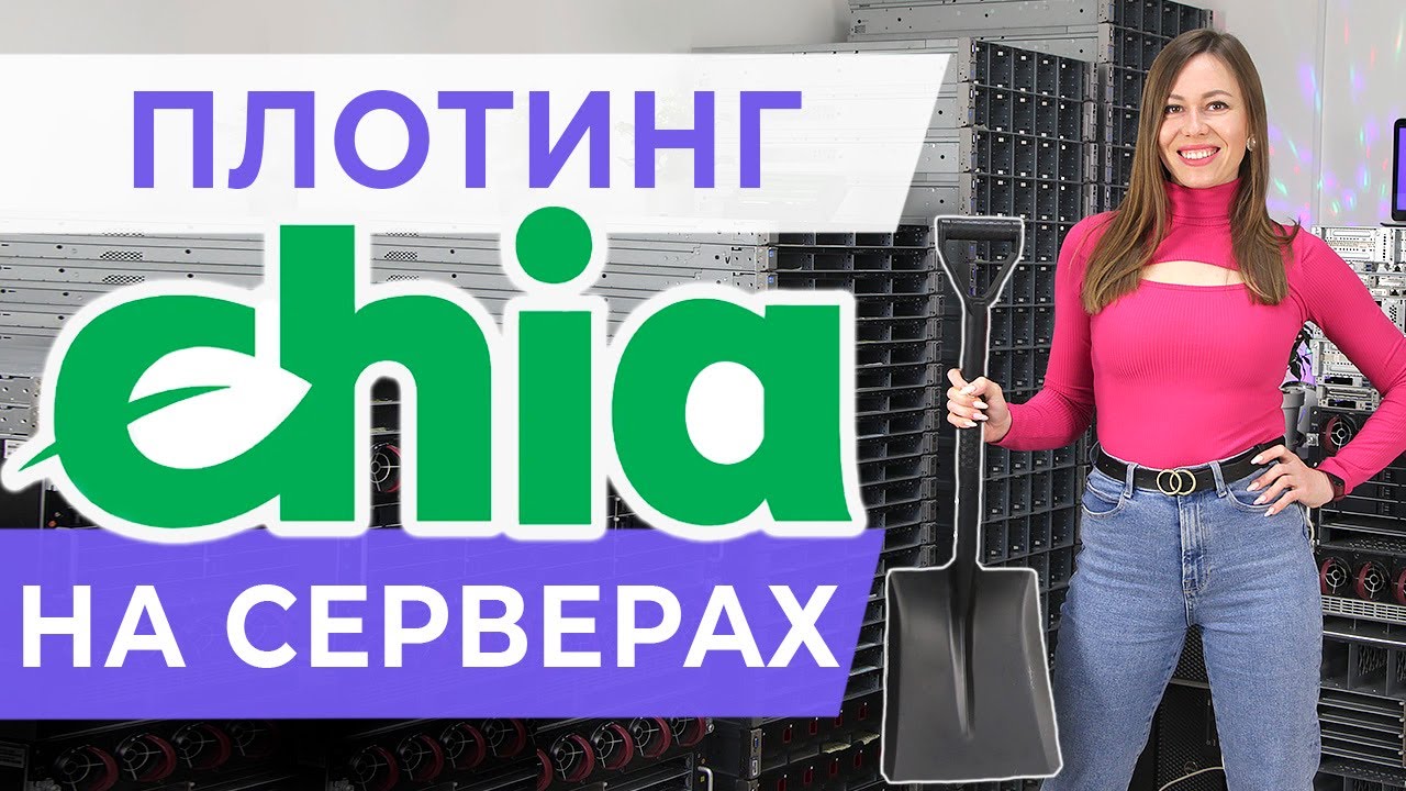 Плотинг Chia на серверах