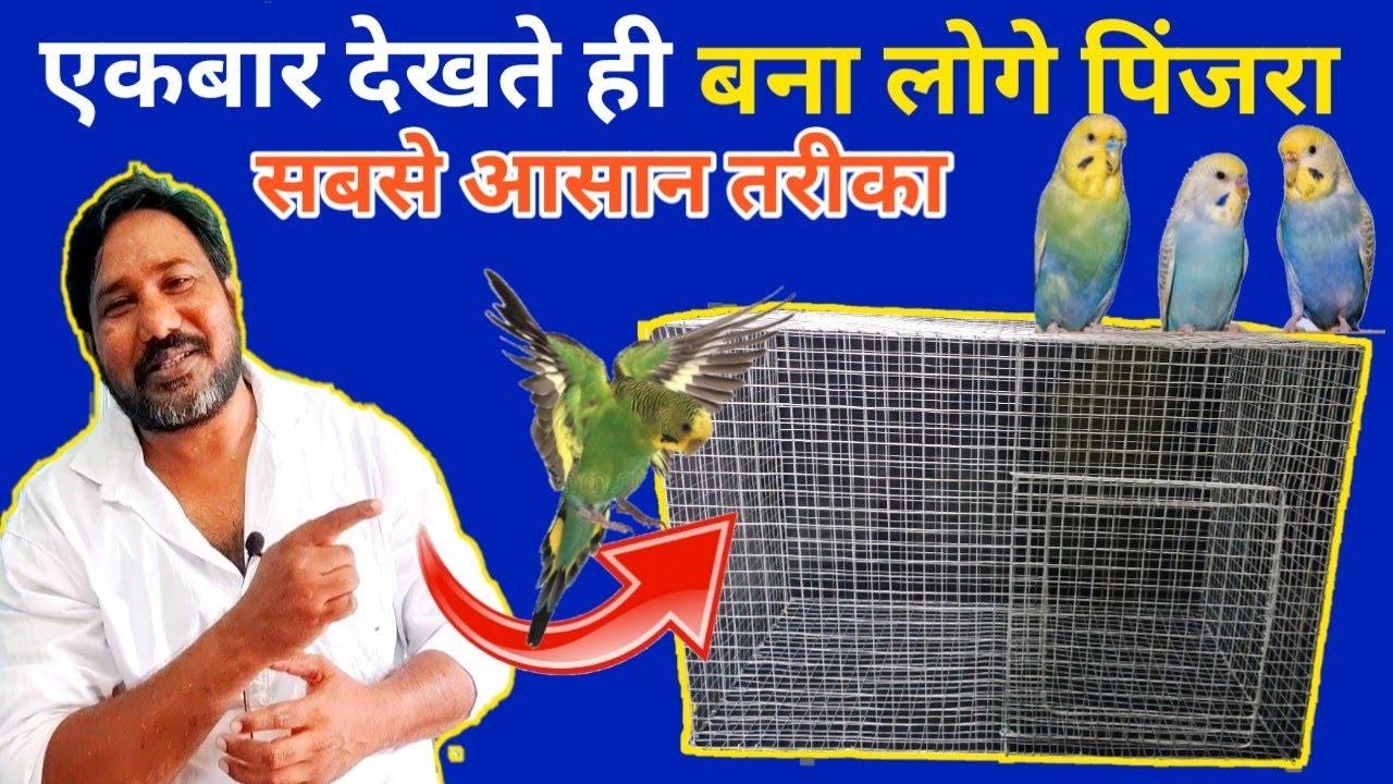 How To Make Birds Cage At Home //    पिंजरा कैसे बनाये // बजरी तोतो का पिंजरा कैसे बनाये
