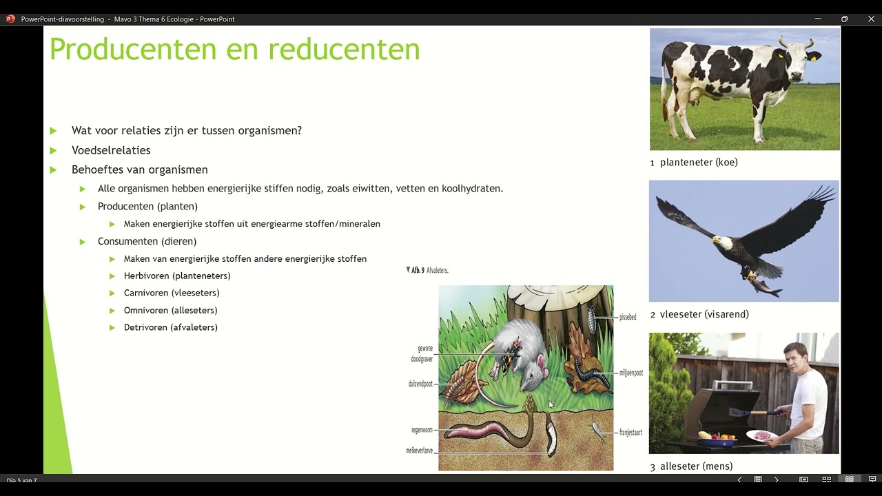 Klas 3 Mavo Thema 6 Ecologie Basisstof 1 Eten en gegeten worden