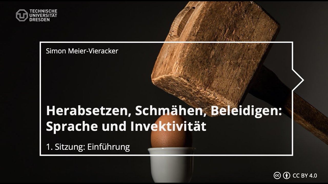 Sprache und Invektivität – Einführung