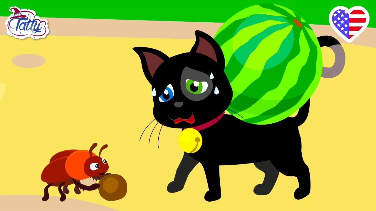 Join Tatty and Misifu on a Magical Adventure! ✨🐾