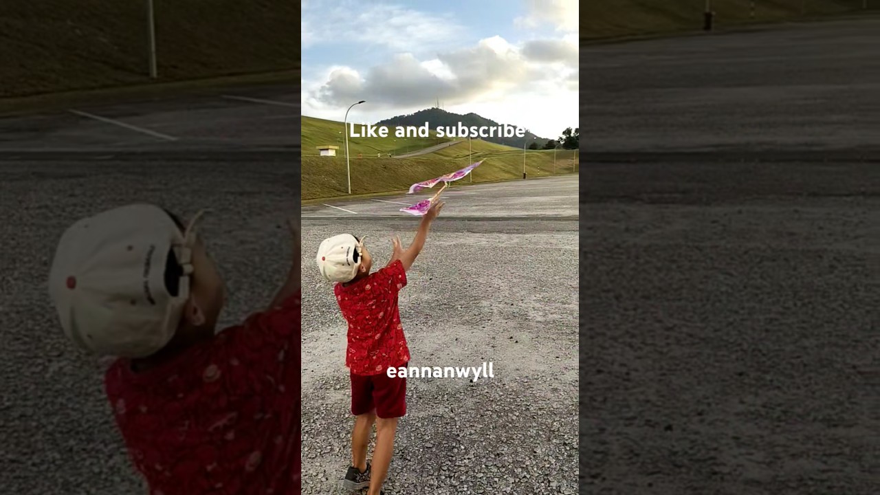 Rubber band flying bird