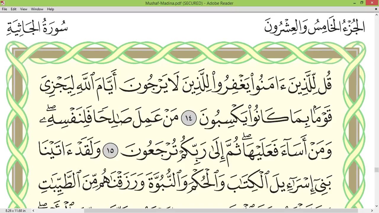Practice reciting with correct tajweed - Page 500 (Surah Al-Jathiyah)