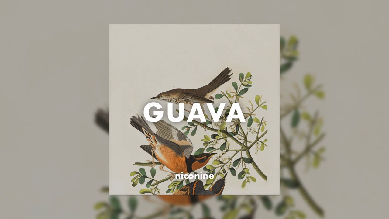 Moombahton x Afro Bros Type Beat - Guava