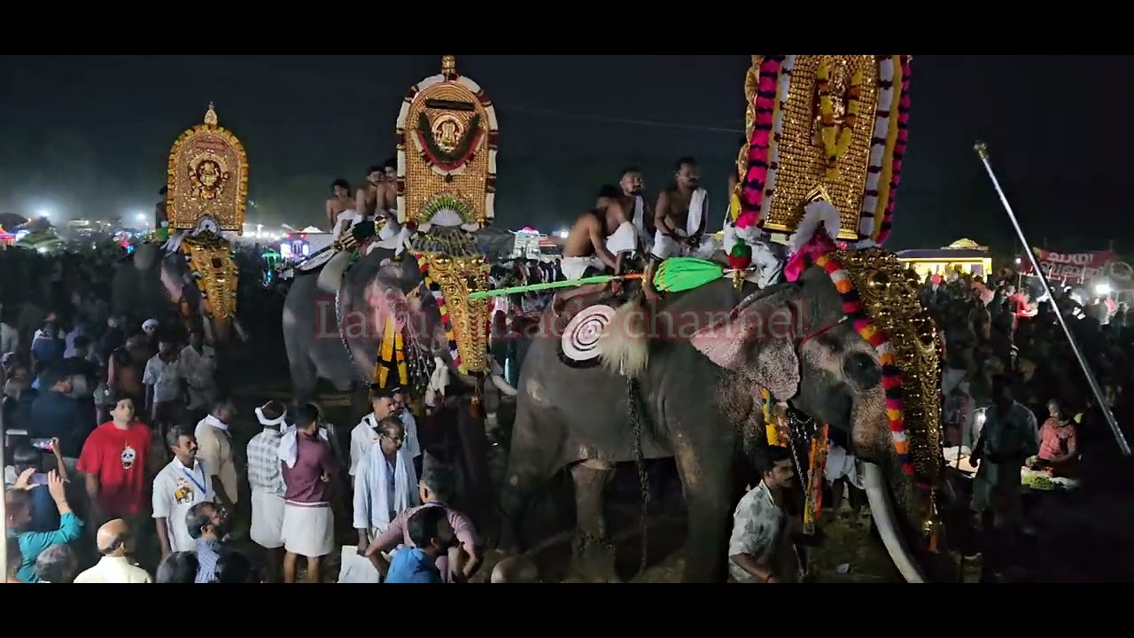 വരിവരിയായി ആനകൾ പോകുന്നു🔥😍#elephantvideo#pooram2026#elephant#pooramsong#kalavela#lallumiracle#kerala
