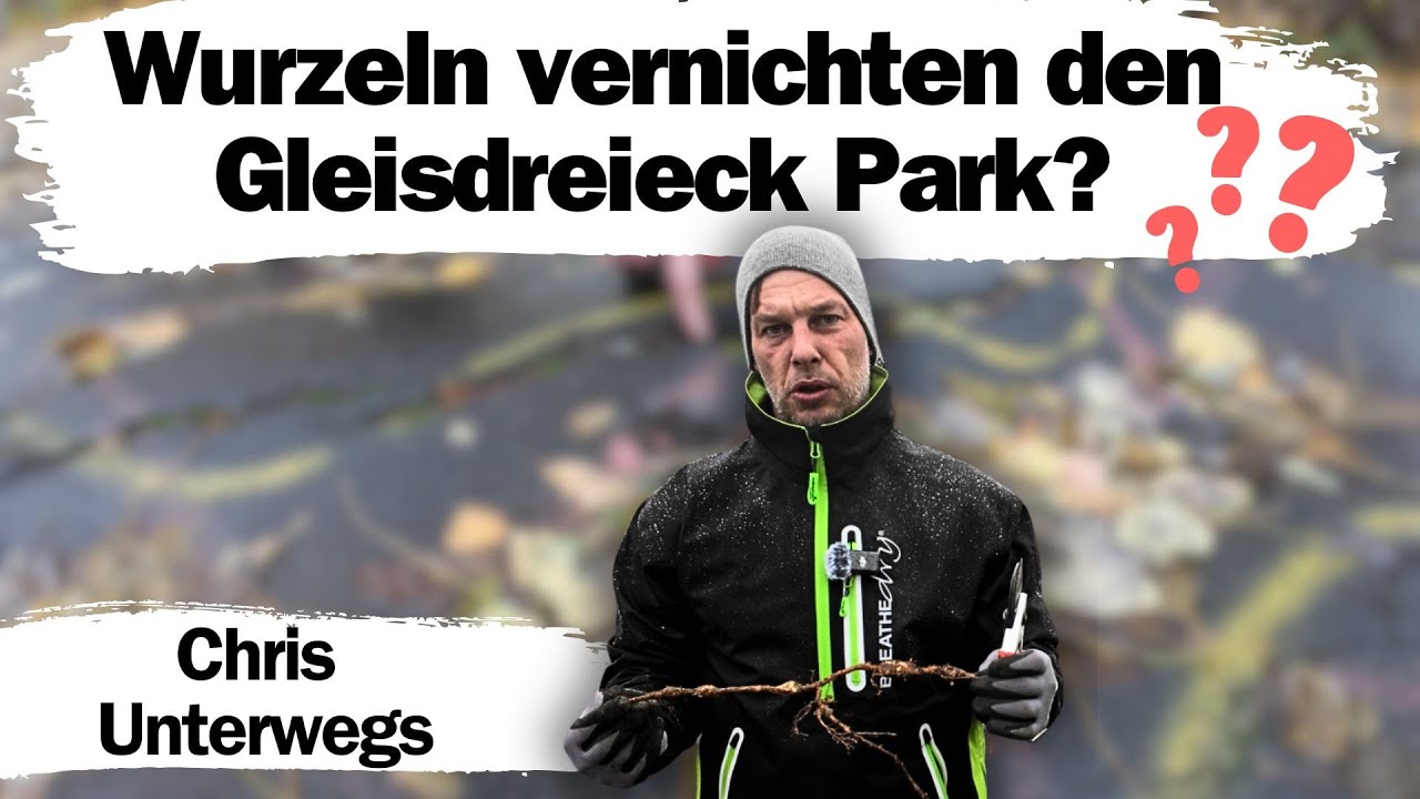🌳✨ Wurzelschutz Baubegleitung hautnah! ✨🌳