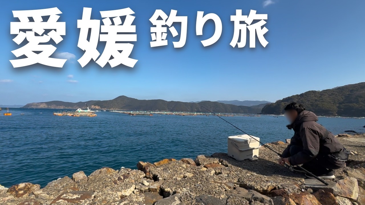 【愛媛 釣り旅】肝の美味しい魚、高級魚、大衆魚…。冬でも美味しい魚が釣れる愛媛で釣り車中泊旅。