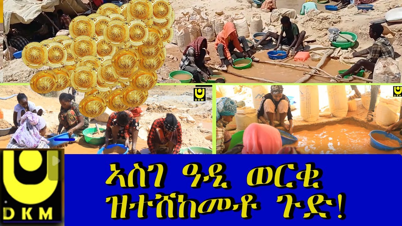 እዋናዊ;ኣስገ ዓዲ ወርቂ ዝተሸከመቶ ጉድ!