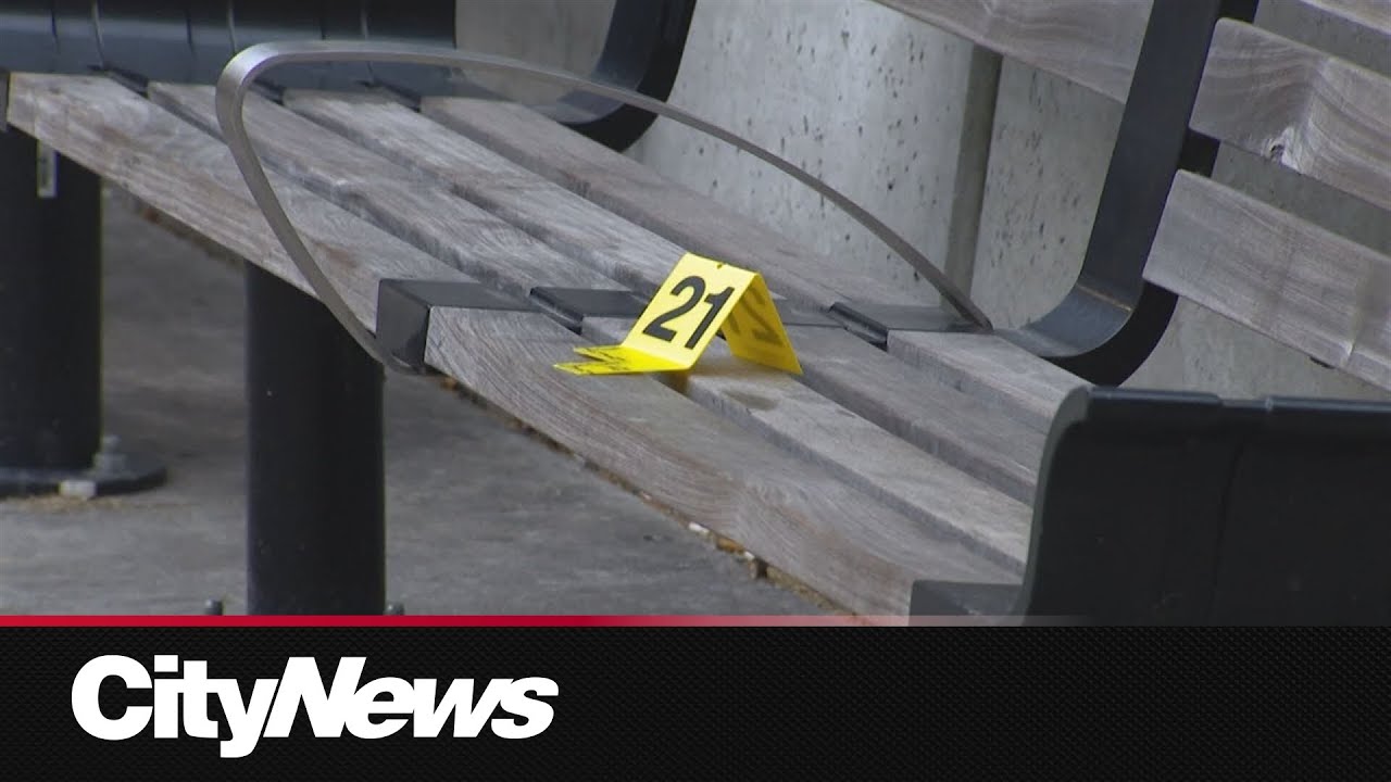 Trial begins for 2 teen girls facing a 2nd-degree murder charge in swarming death of Kenneth Lee
