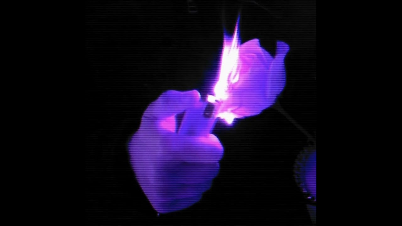 AZHE - PURPLEKUSH