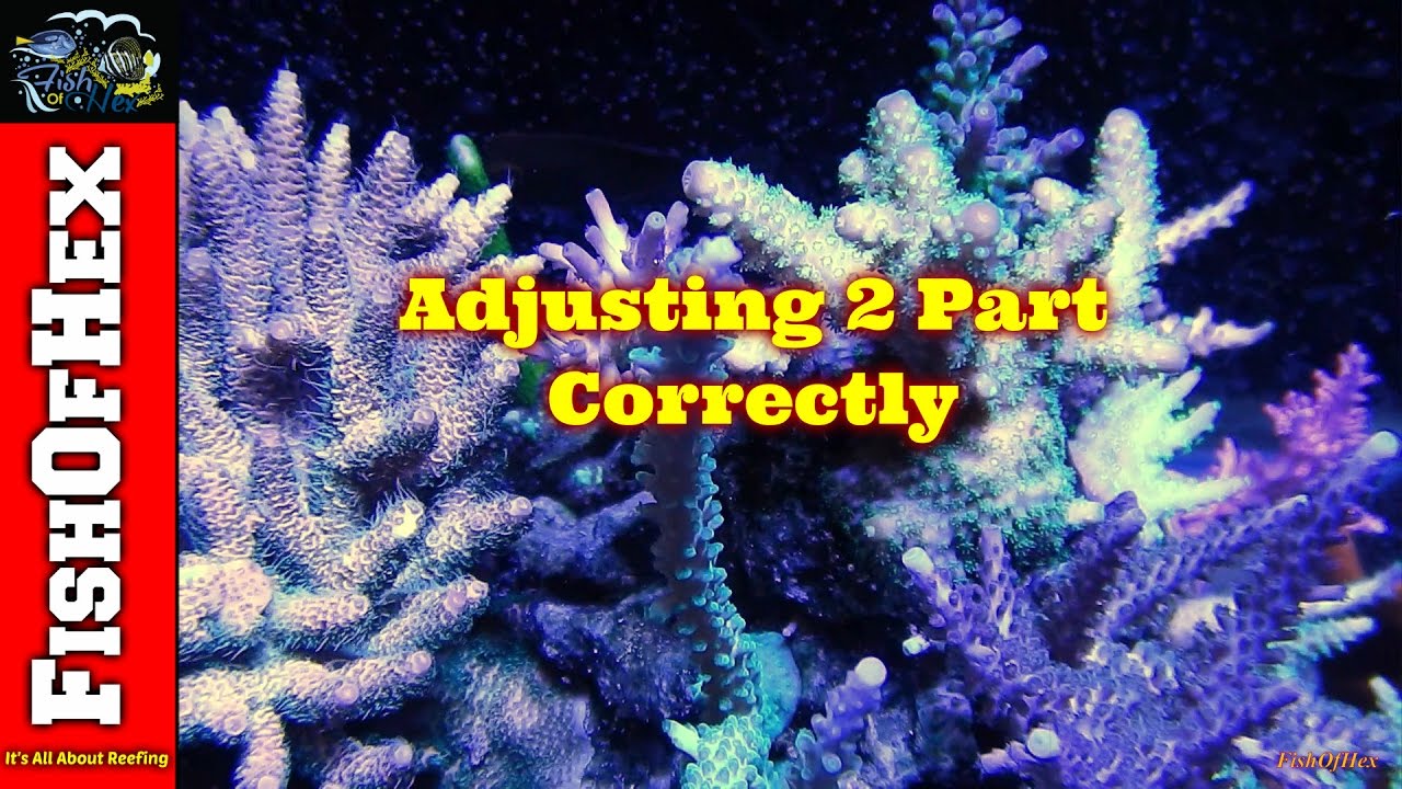 When To Increase Your 2 Part Dosing Amount | Dosing Guide