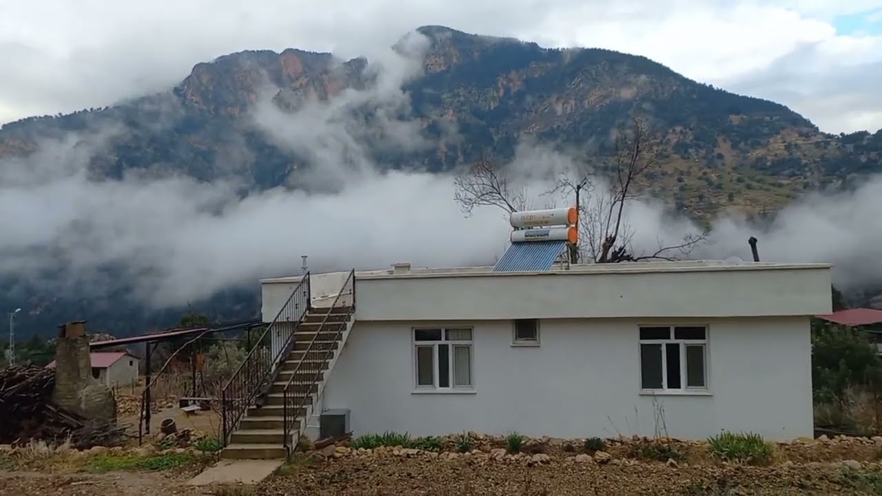 Geride Bıraktıklarımız...  #doğa #köyhayatı #nature #dağlar #nergis #çiçekler #orman 