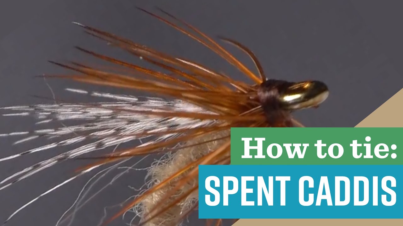 Classic Trout Flies: The Spent Caddis Fly Pattern - Absolute Killer and Easy to Learn!