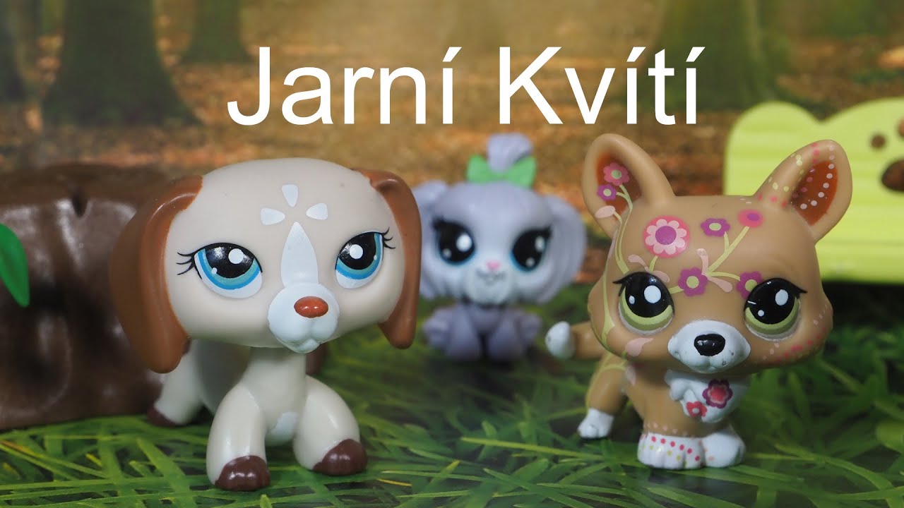LPS Jarní Kvítí |1 DÍL| (Láska) | Amálka LPS