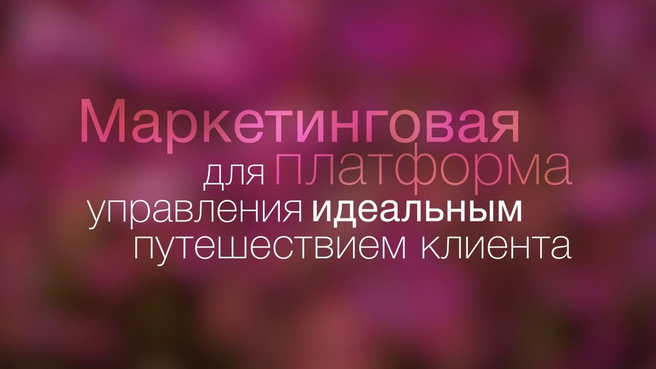 Всё о bpm&rsquo;online marketing за 5 минут!