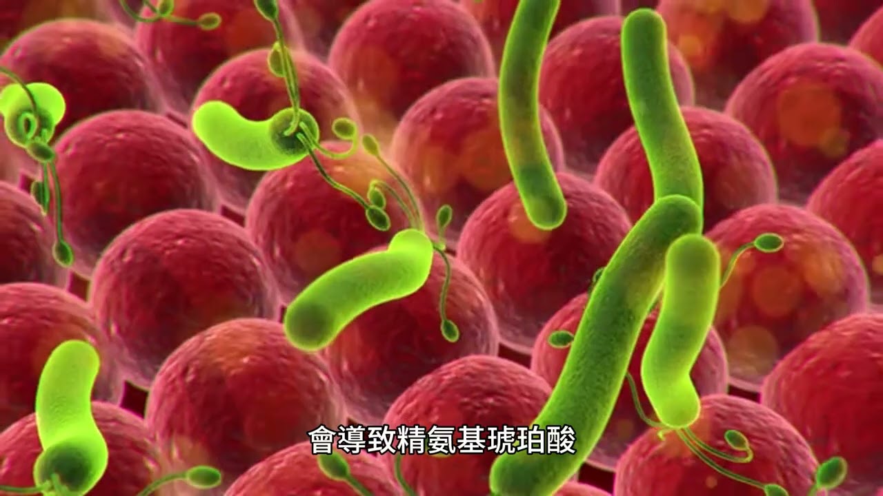 精氨基琥珀酸尿症：一種導致血液和尿液中精氨基琥珀酸 (ASA) 積聚的遺傳性疾病