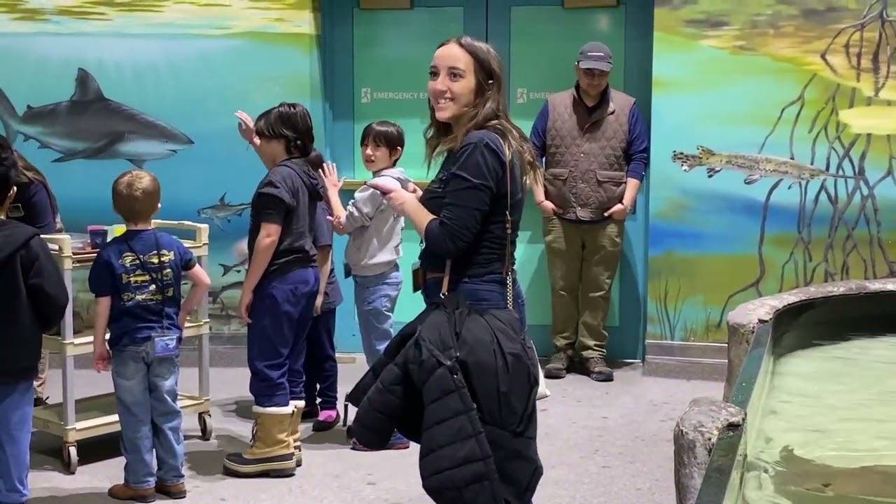 Petting and feeding Stingrays at the National Mississippi River Museum & Aquarium