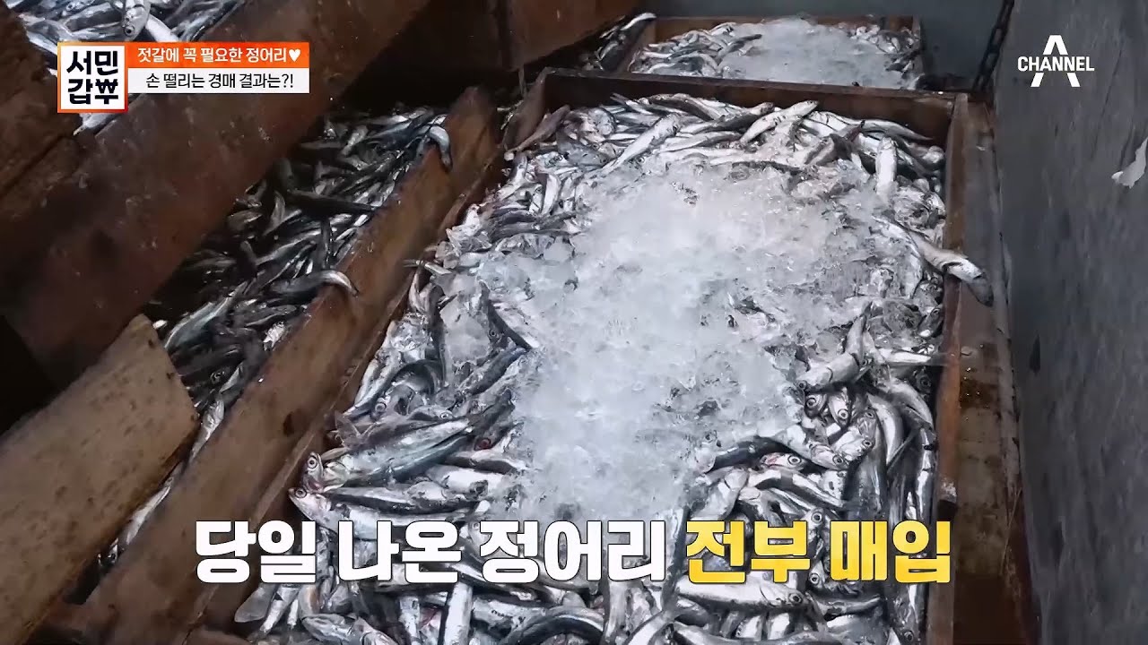 오래 묵어야 사랑스럽다.. 정어리도 그렇다...♥ 갓김치의 필수 요소! 젓갈 만드는 특급 비법은?! | 서민갑부 439 회